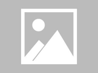SEO排名优化软件的使用方法及介绍