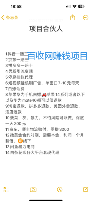 创业男女粉丝回收私域合伙人介绍