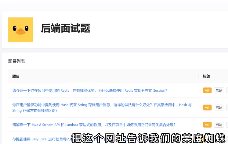 编程+SEO：双重技能加持，让你的网站流量飙升