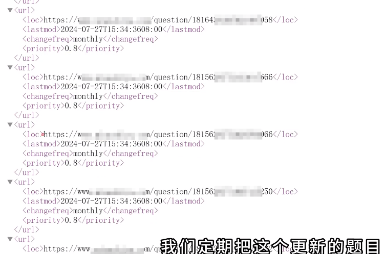 编程+SEO：双重技能加持，让你的网站流量飙升