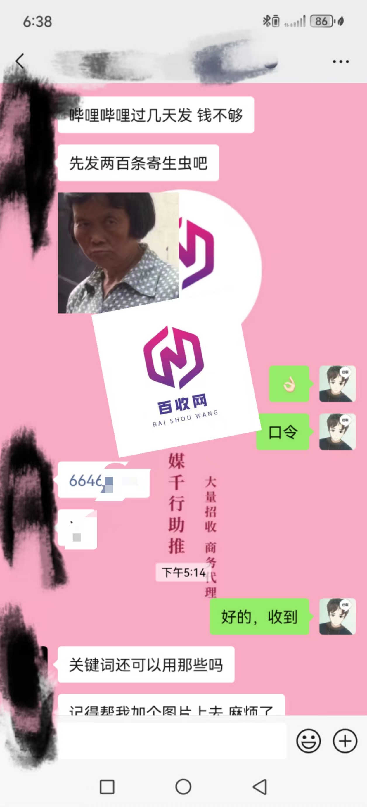 寄生虫排名代发AISEO+小语种多语言独立站站群推广