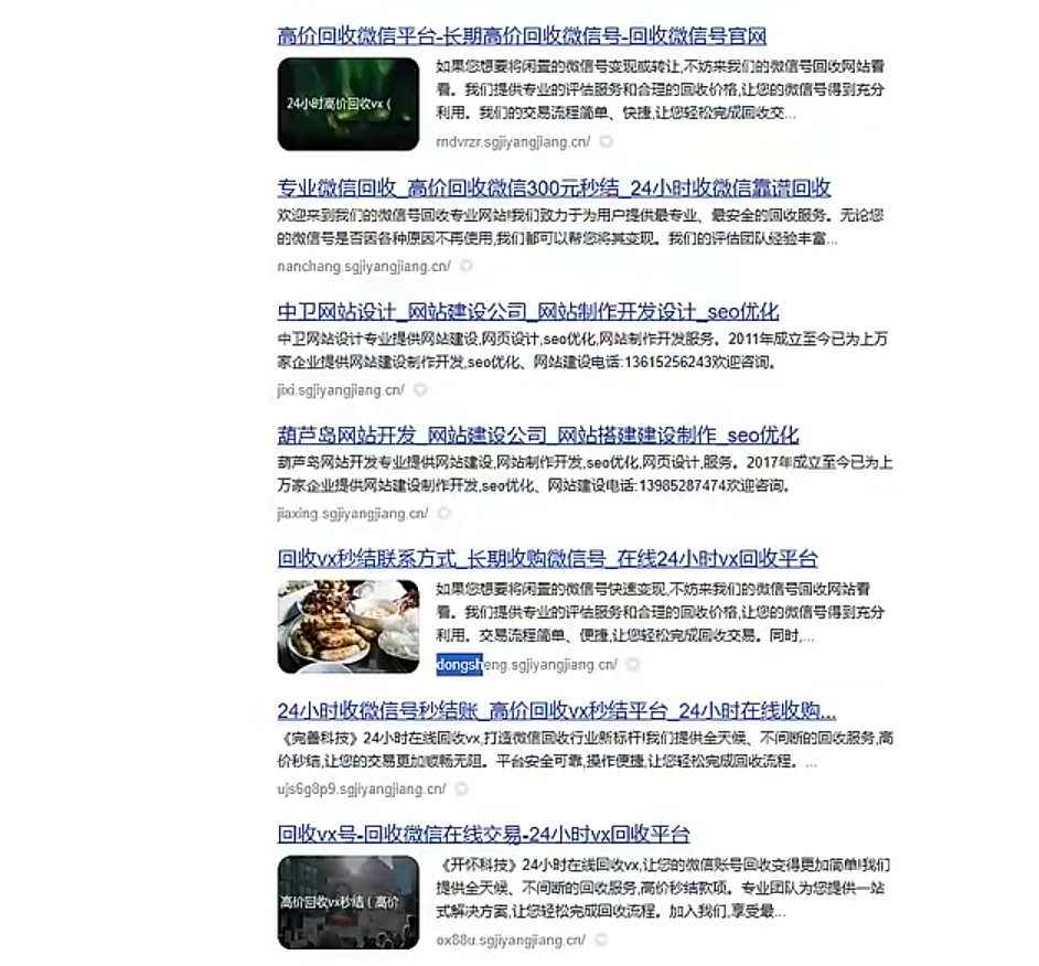 泛目录站群推广怎么做？新手必读的全面指南!